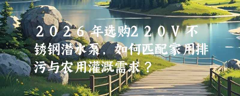 2026年选购220V不锈钢潜水泵，如何匹配家用排污与农用灌溉需求？