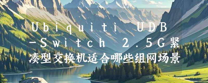 Ubiquiti UDB-Switch 2.5G紧凑型交换机适合哪些组网场景？