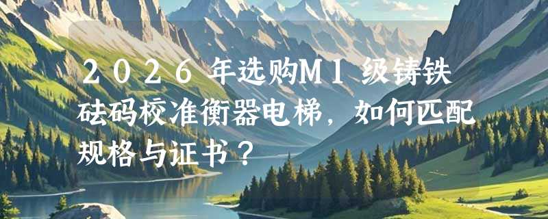 2026年选购M1级铸铁砝码校准衡器电梯，如何匹配规格与证书？