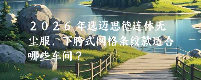 2026年选迈思德连体无尘服，下胯式网格条纹款适合哪些车间？