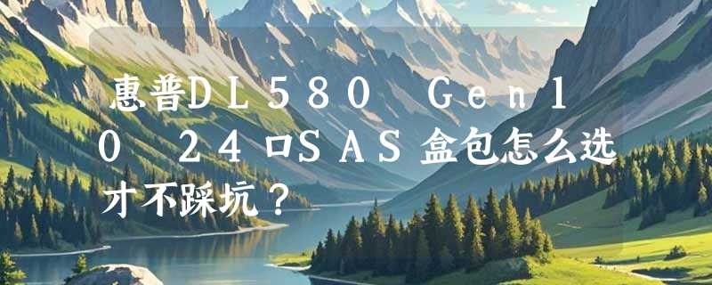 惠普DL580 Gen10 24口SAS盒包怎么选才不踩坑？
