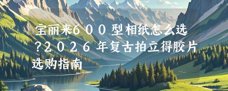 宝丽来600型相纸怎么选？2026年复古拍立得胶片选购指南