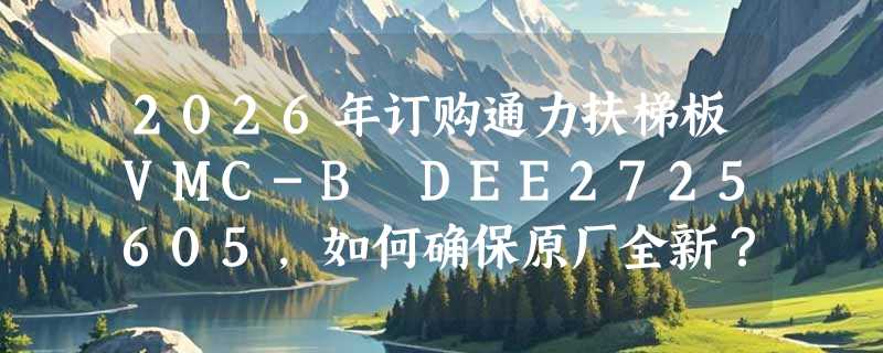 2026年订购通力扶梯板VMC-B DEE2725605，如何确保原厂全新？