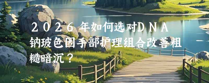 2026年如何选对DNA钠玻色因手部护理组合改善粗糙暗沉？