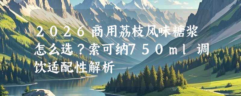 2026商用荔枝风味糖浆怎么选？索可纳750ml调饮适配性解析