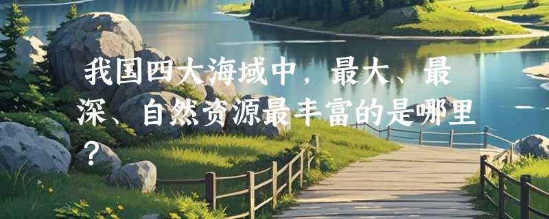 我国四大海域中，最大、最深、自然资源最丰富的是哪里？