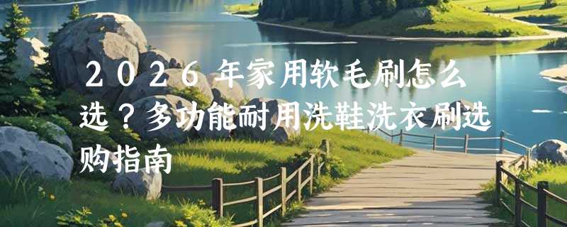 2026年家用软毛刷怎么选？多功能耐用洗鞋洗衣刷选购指南