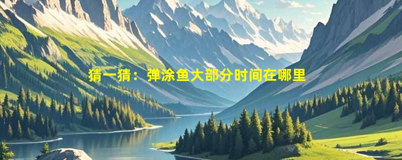 猜一猜：弹涂鱼大部分时间在哪里生活？