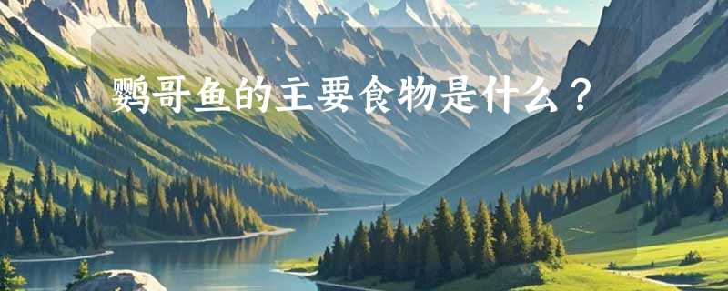 鹦哥鱼的主要食物是什么？