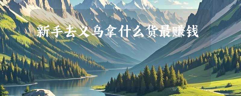 新手去义乌拿什么货最赚钱