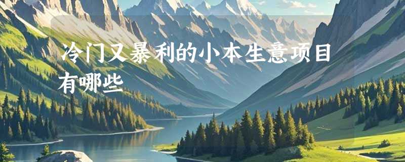 冷门又暴利的小本生意项目有哪些
