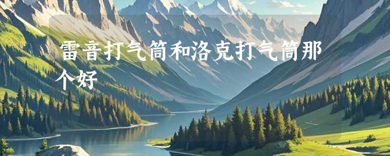 雷音打气筒和洛克打气筒那个好
