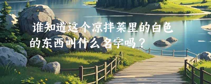 谁知道这个凉拌菜里的白色的东西叫什么名字吗？