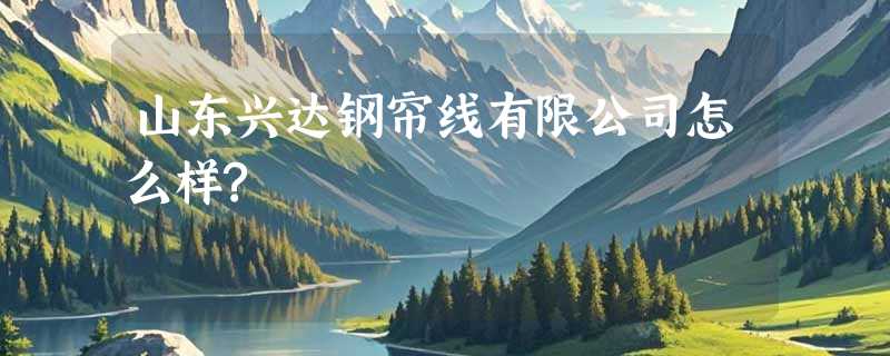山东兴达钢帘线有限公司怎么样?