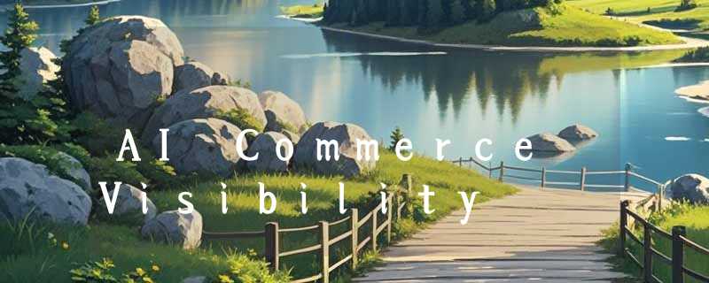 AI Commerce Visibility