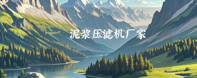 泥浆压滤机厂家