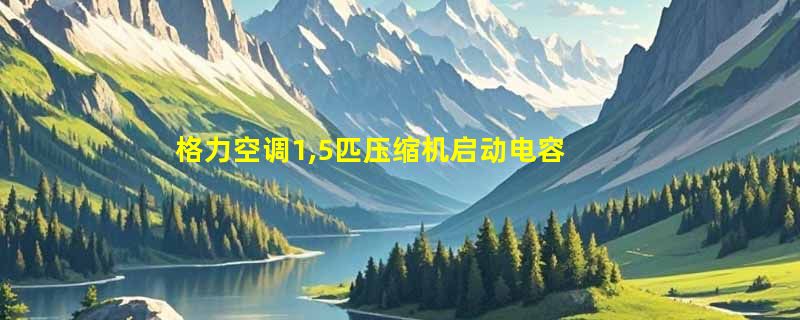 格力空调1,5匹压缩机启动电容在什么位置