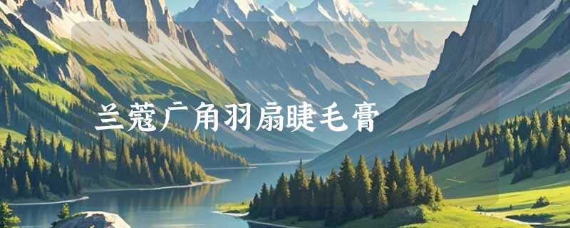 兰蔻广角羽扇睫毛膏