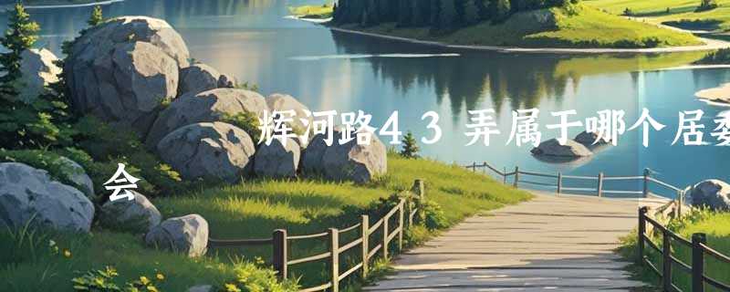 辉河路43弄属于哪个居委会