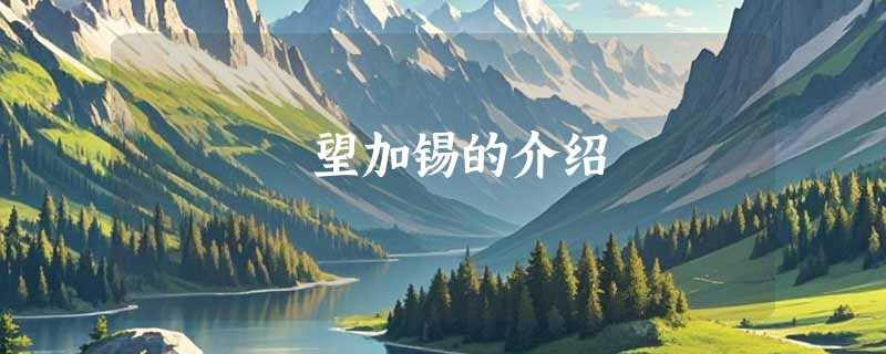 望加锡的介绍