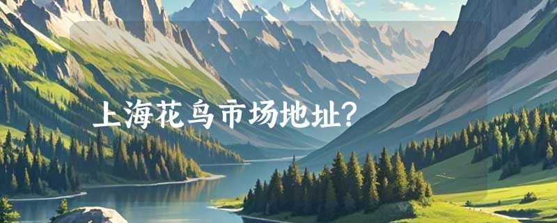 上海花鸟市场地址?