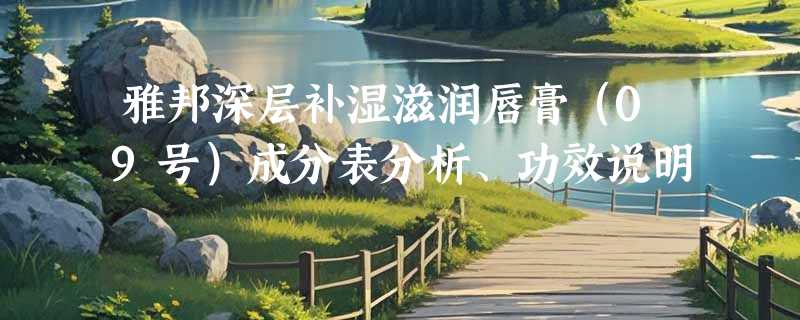 雅邦深层补湿滋润唇膏（09号）成分表分析、功效说明