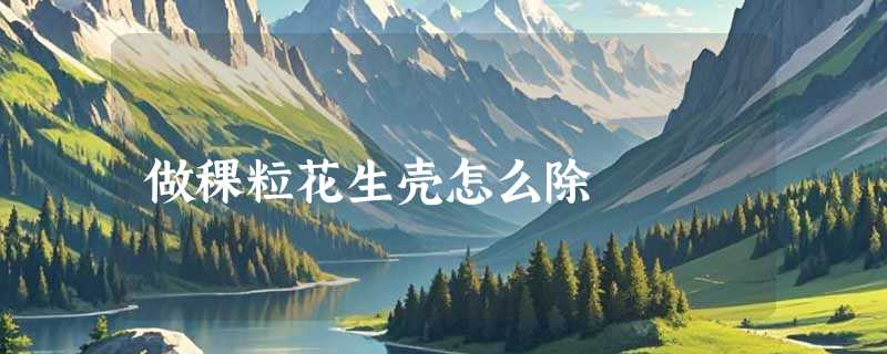 做稞粒花生壳怎么除