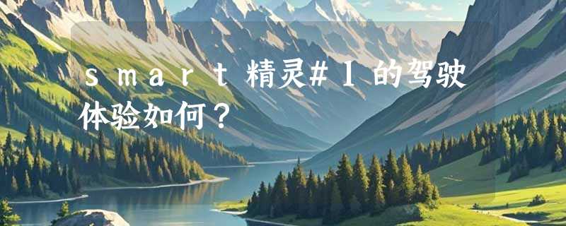 smart精灵#1的驾驶体验如何？