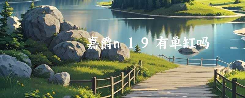嘉爵n19有单缸吗