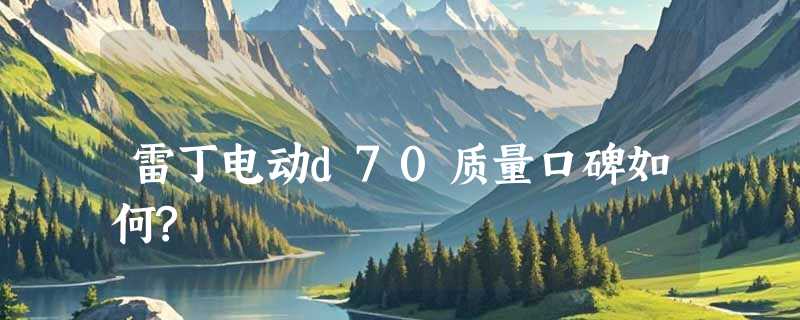 雷丁电动d70质量口碑如何?