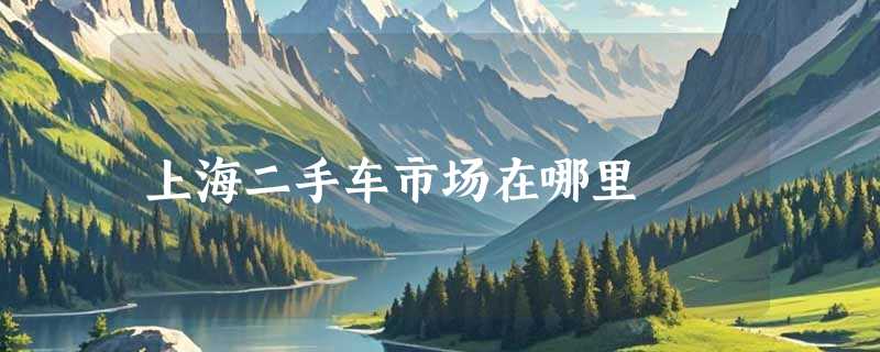 上海二手车市场在哪里