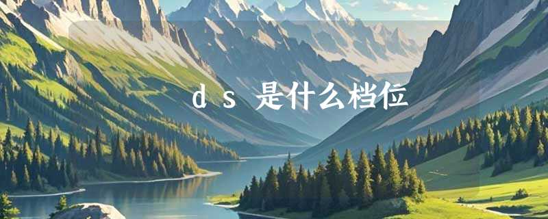 ds是什么档位