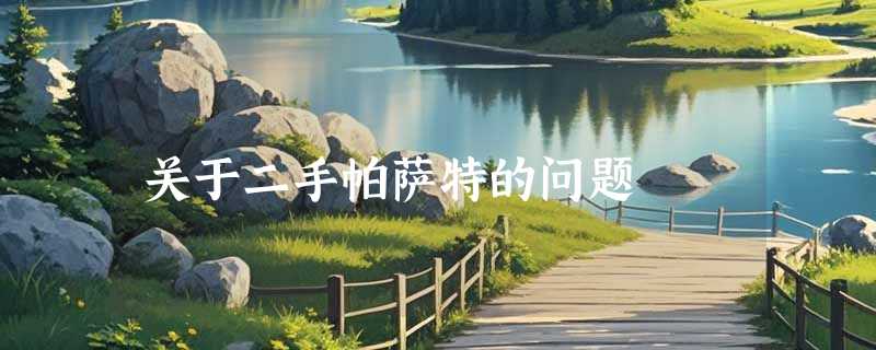 关于二手帕萨特的问题