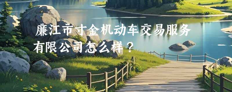 廉江市寸金机动车交易服务有限公司怎么样？