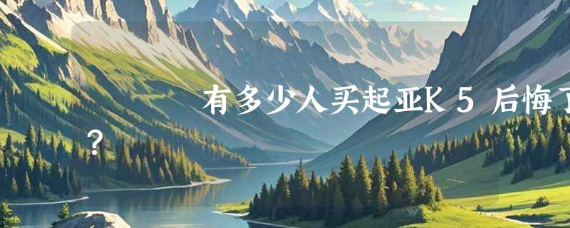 有多少人买起亚K5后悔了？