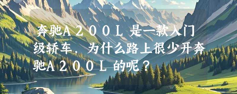 奔驰A200L是一款入门级轿车，为什么路上很少开奔驰A200L的呢？