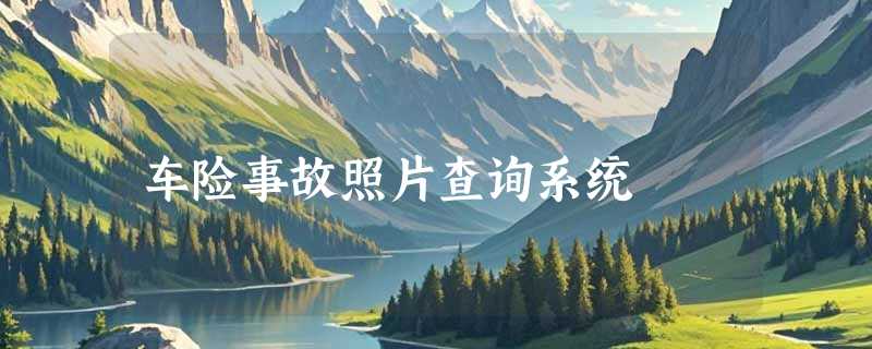 车险事故照片查询系统