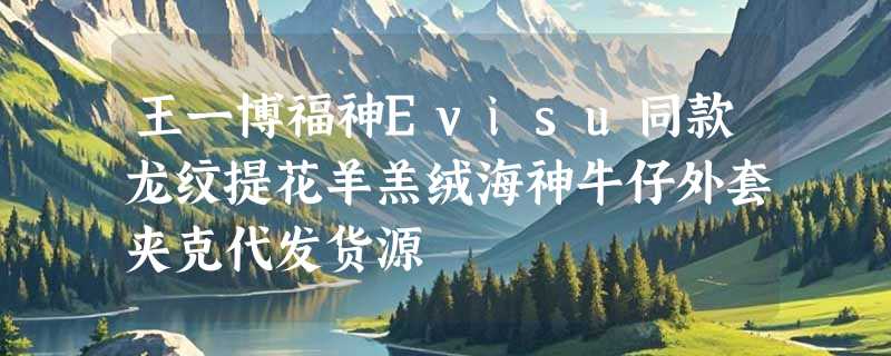 王一博福神Evisu同款龙纹提花羊羔绒海神牛仔外套夹克代发货源