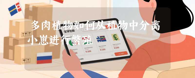 多肉植物如何从植物中分离小崽进行繁殖