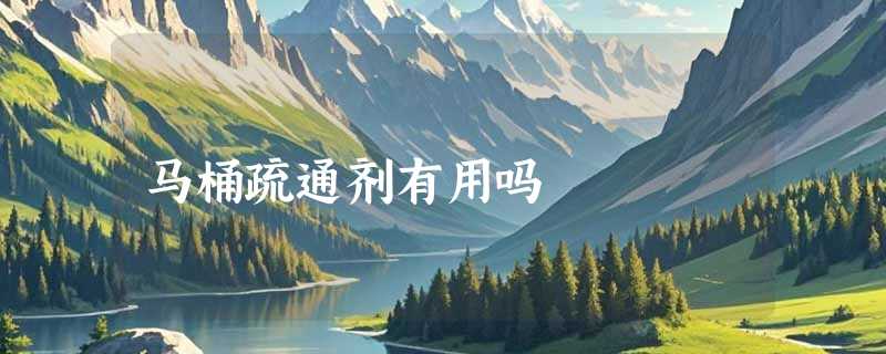 马桶疏通剂有用吗