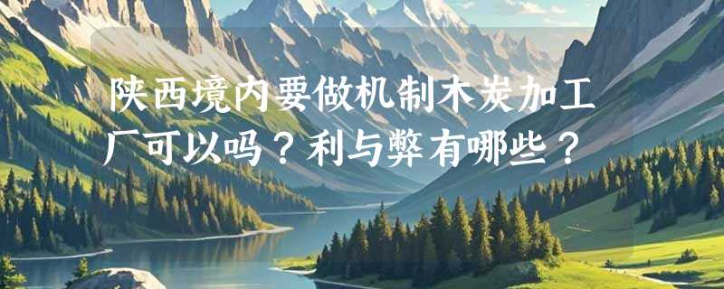 陕西境内要做机制木炭加工厂可以吗？利与弊有哪些？