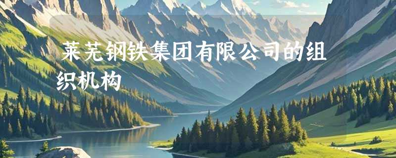 莱芜钢铁集团有限公司的组织机构