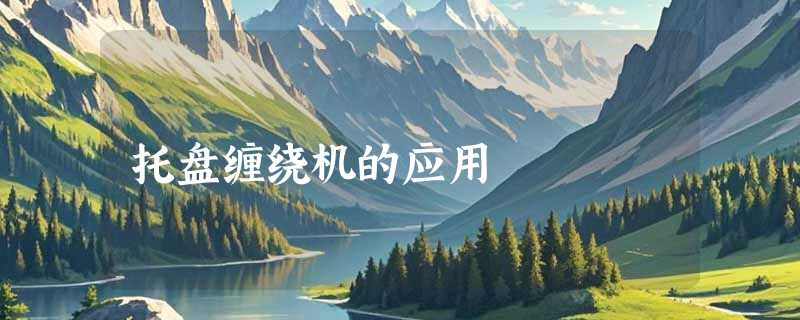 托盘缠绕机的应用