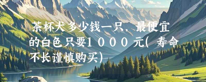茶杯犬多少钱一只，最便宜的白色只要1000元(寿命不长谨慎购买)