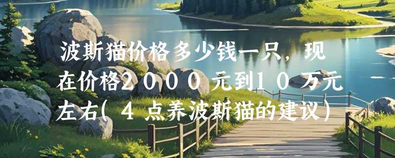 波斯猫价格多少钱一只，现在价格2000元到10万元左右(4点养波斯猫的建议)