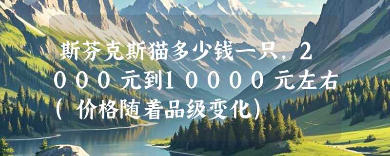 斯芬克斯猫多少钱一只，2000元到10000元左右(价格随着品级变化)