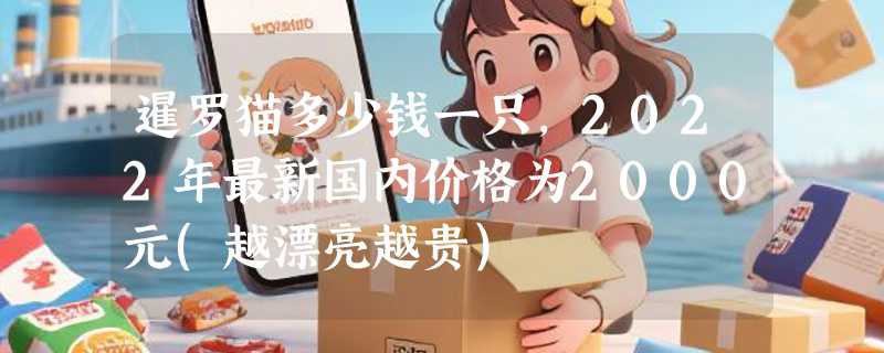 暹罗猫多少钱一只，2022年最新国内价格为2000元(越漂亮越贵)