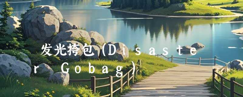 发光挎包（Disaster Gobag）