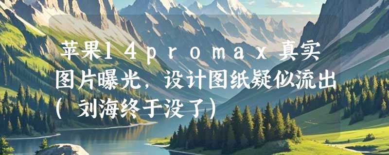 苹果14promax真实图片曝光，设计图纸疑似流出(刘海终于没了)