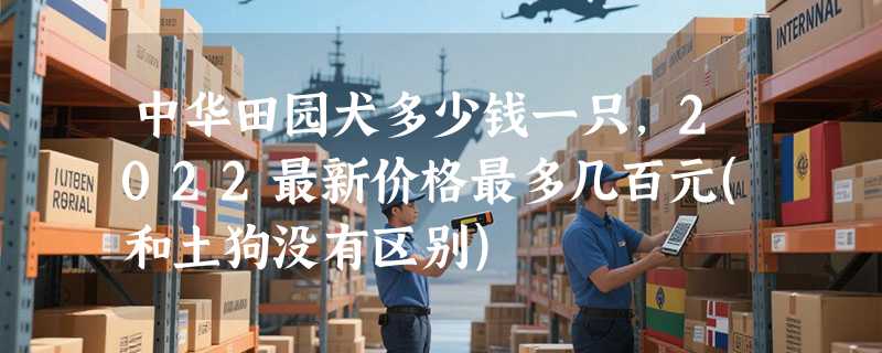 中华田园犬多少钱一只，2022最新价格最多几百元(和土狗没有区别)